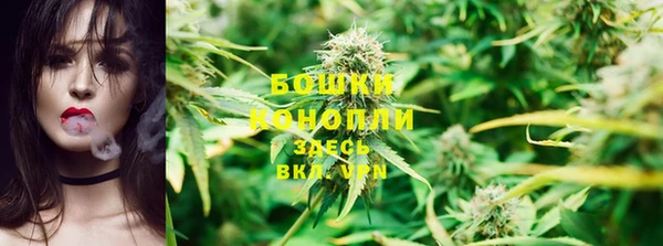 не бодяженный Богданович