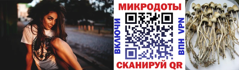 Галлюциногенные грибы GOLDEN TEACHER  ссылка на мегу рабочий сайт  Бор  что такое  