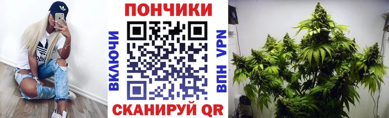 Марихуана план  МЕГА онион  Бор 